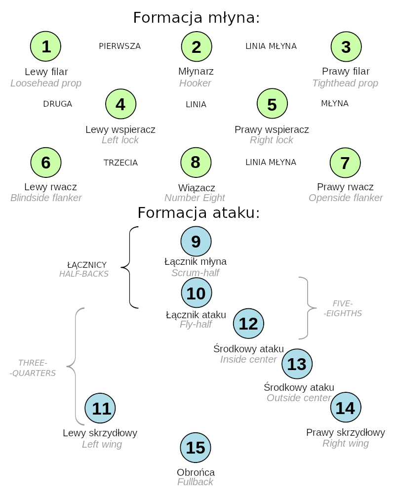 rysunek przedstawiający rozmieszczenie linni na boisku do rugby