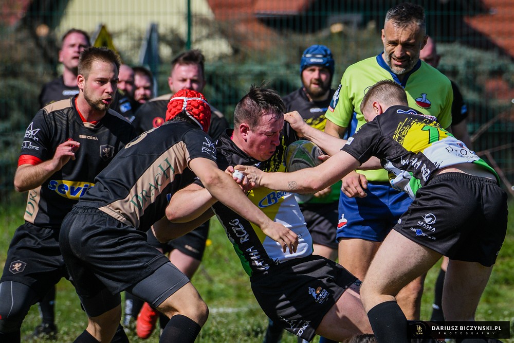 Śledziu zaszarżowany